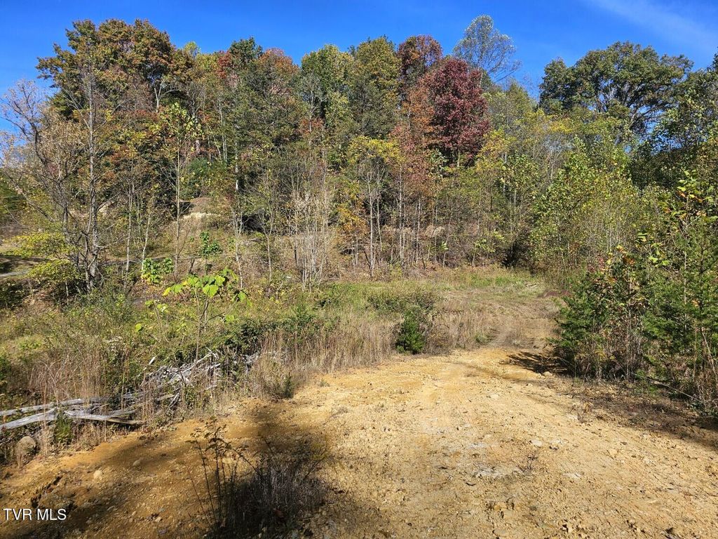 Photo of Tbd Blaine White Road, Erwin, TN 37650 (MLS # 9987927)