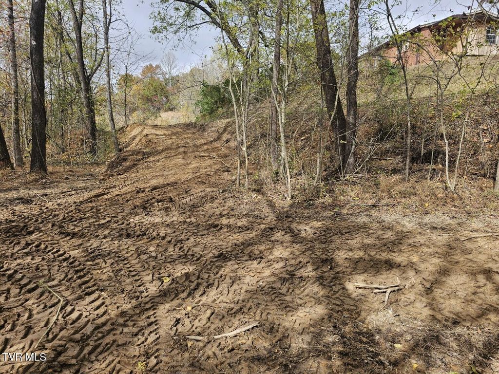 Photo of Tbd Blaine White Road, Erwin, TN 37650 (MLS # 9987927)