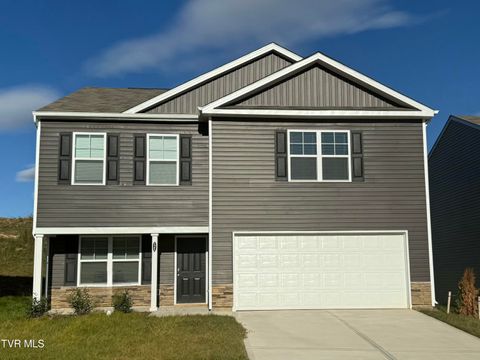 Photo of 1162 Aspen Terrace, Greeneville, TN 37745 (MLS # 9987913)