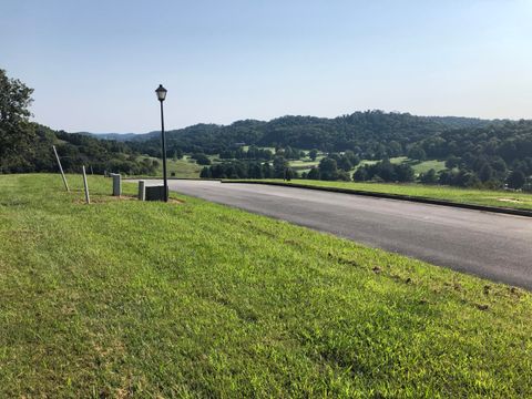 Vacant Land For Sale - LOT 48 Chimney Top Lane<br/> Chuckey, TN 37641