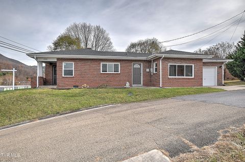 Photo of 103 Earl Mckinney Road, Elizabethton, TN 37643 (MLS # 9988495)