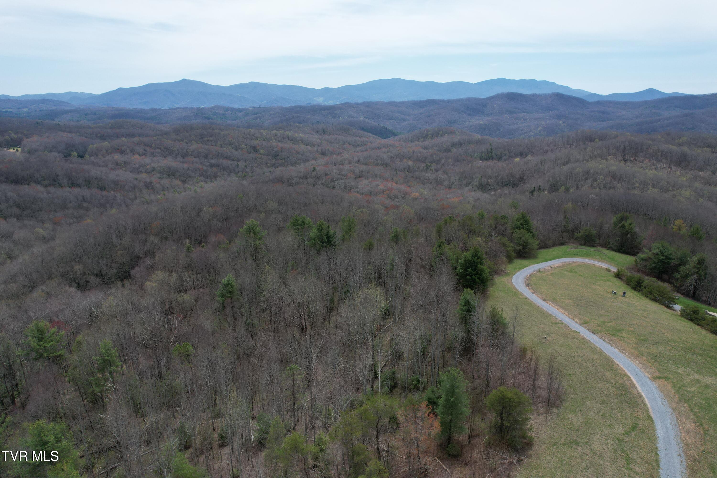 Lot 9 Dennis Cove/walnut Mountain Road, Butler, Tennessee image 5