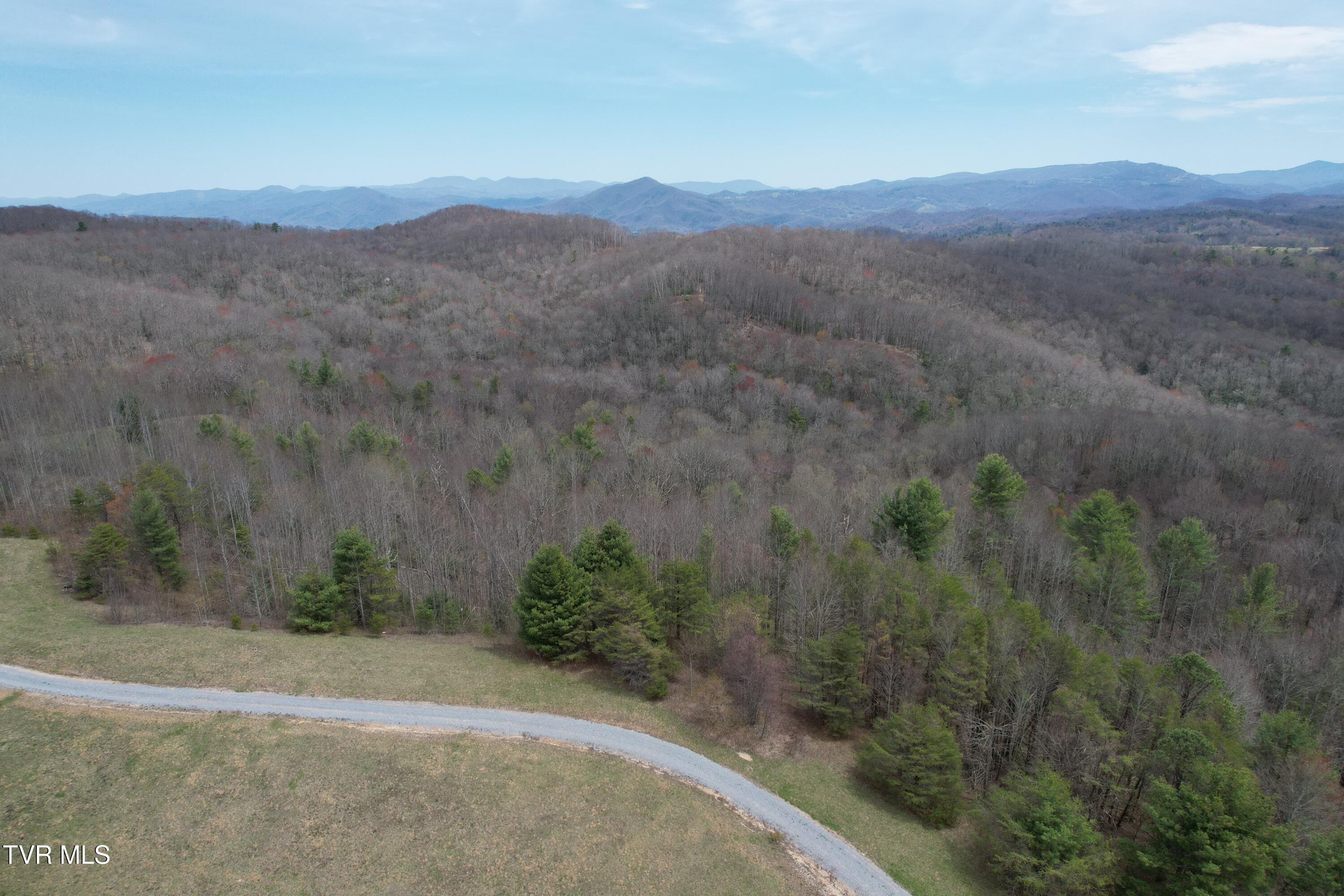 Lot 9 Dennis Cove/walnut Mountain Road, Butler, Tennessee image 12