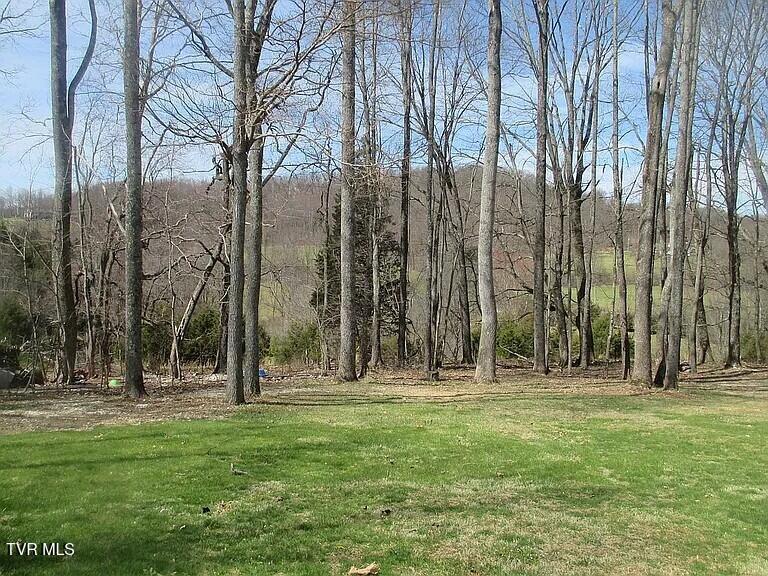 123 Rose Hill Drive, Lebanon, Virginia image 14
