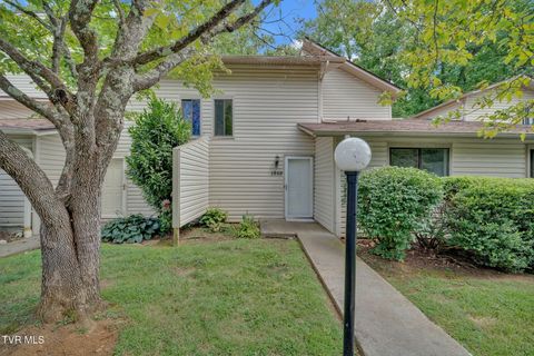 Photo of 1559 Colony Park Drive #37, Johnson City, TN 37604 (MLS # 9989889)