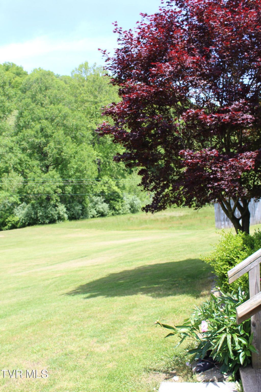 Photo of 490484 State Route 606, Saint Charles, VA 24282 (MLS # 9995636)