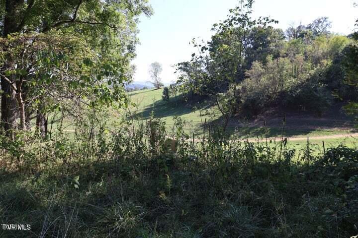 114 Ward Lane, Watauga, Tennessee image 9