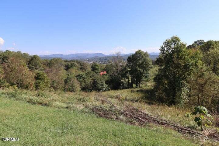 114 Ward Lane, Watauga, Tennessee image 11