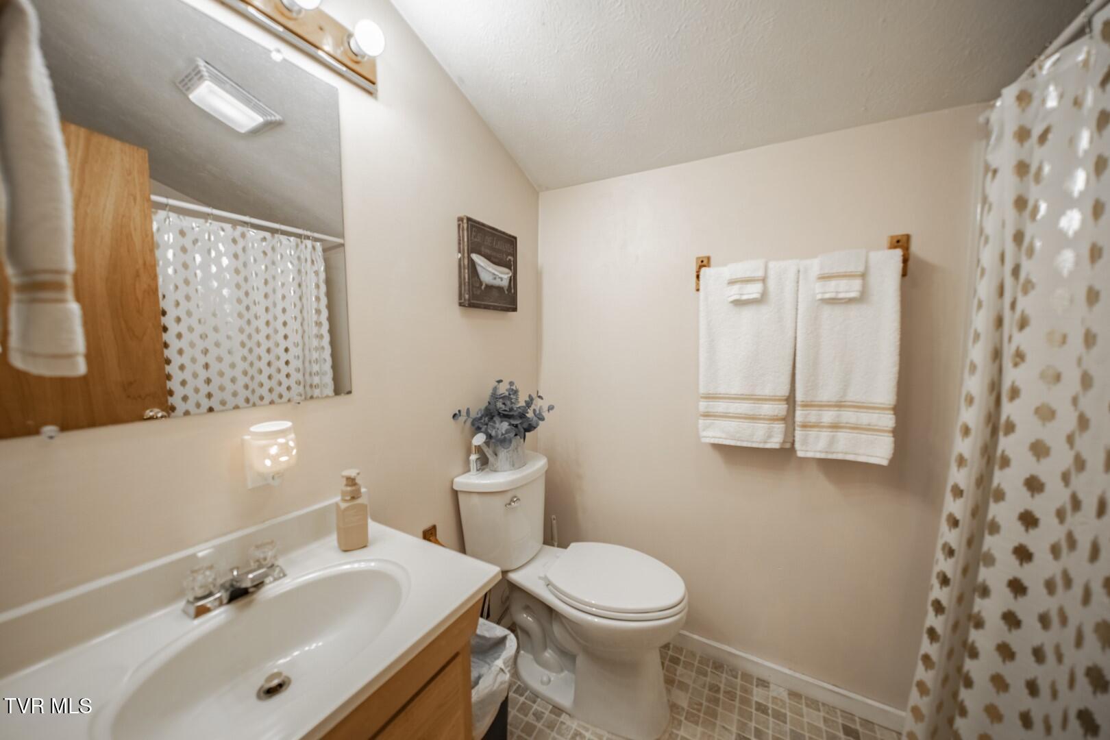 4260 Monte Vista Way Way, Cosby, Tennessee image 20