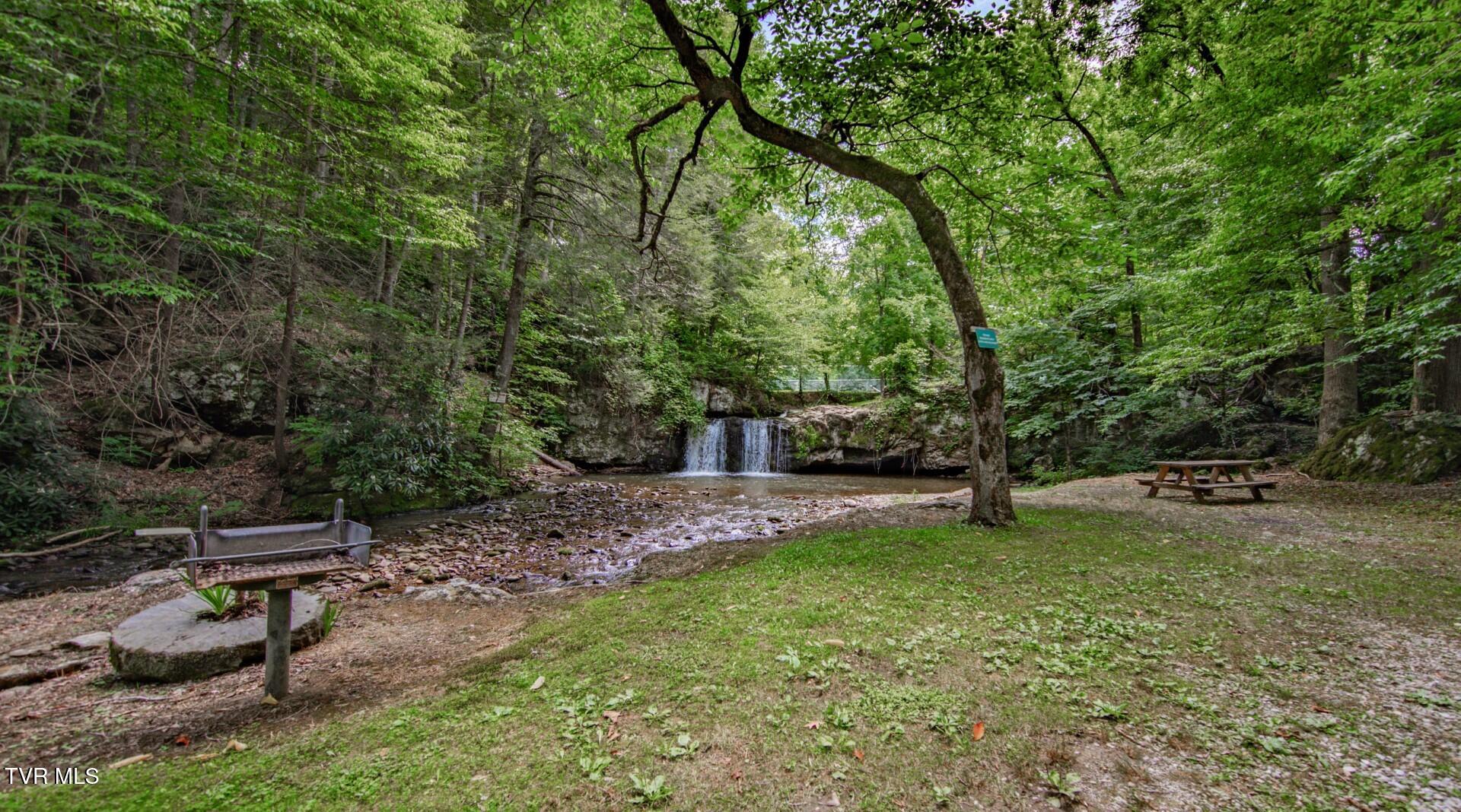 4260 Monte Vista Way Way, Cosby, Tennessee image 42