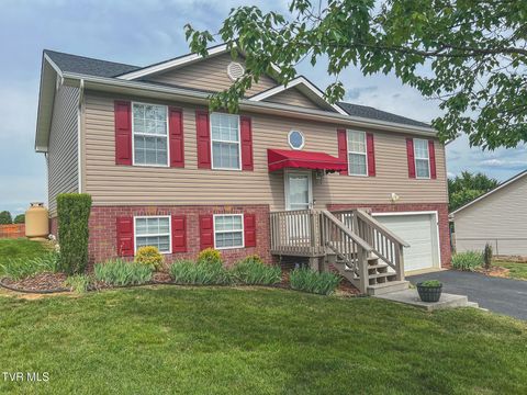 Photo of 612 Willow Court, Piney Flats, TN 37686 (MLS # 9995255)