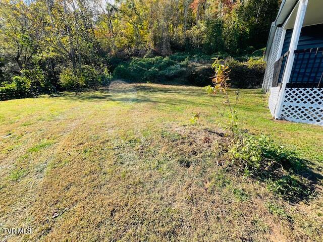 713 10th Street, Big Stone Gap, Virginia image 19