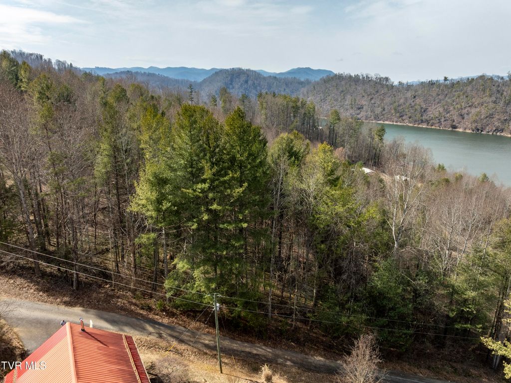 Photo of Tbd Norris Road, Butler, TN 37640 (MLS # 9991643)