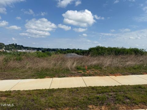 Vacant Land For Sale - 134 Glaze Farm Way<br/> Johnson City, TN 37601