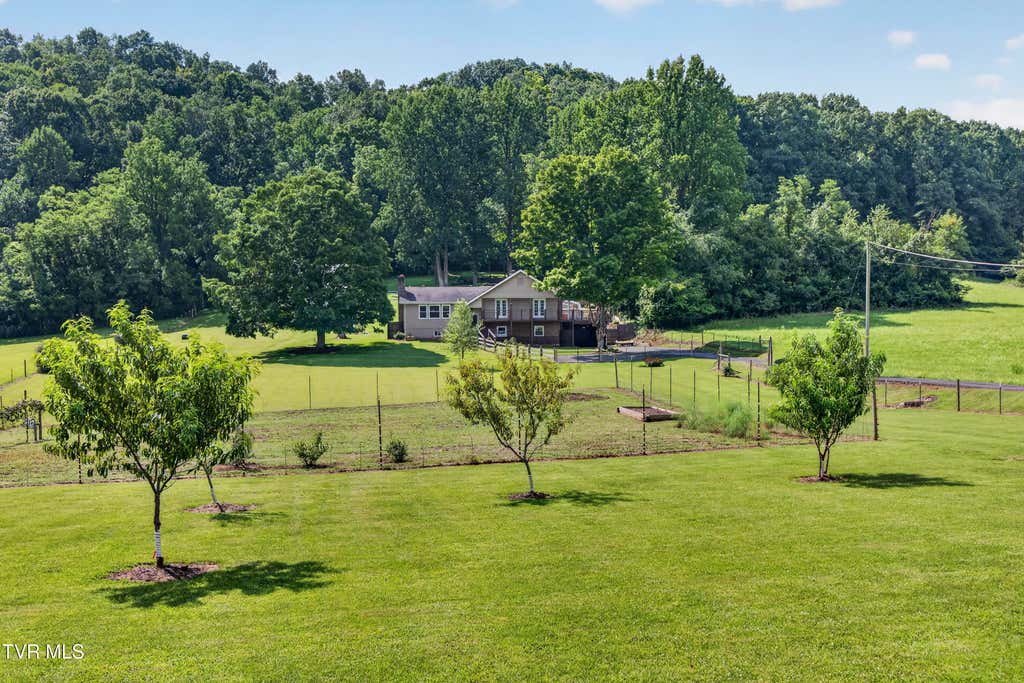 Photo of 13422 Countiss Road, Abingdon, VA 24210 (MLS # 9999329)