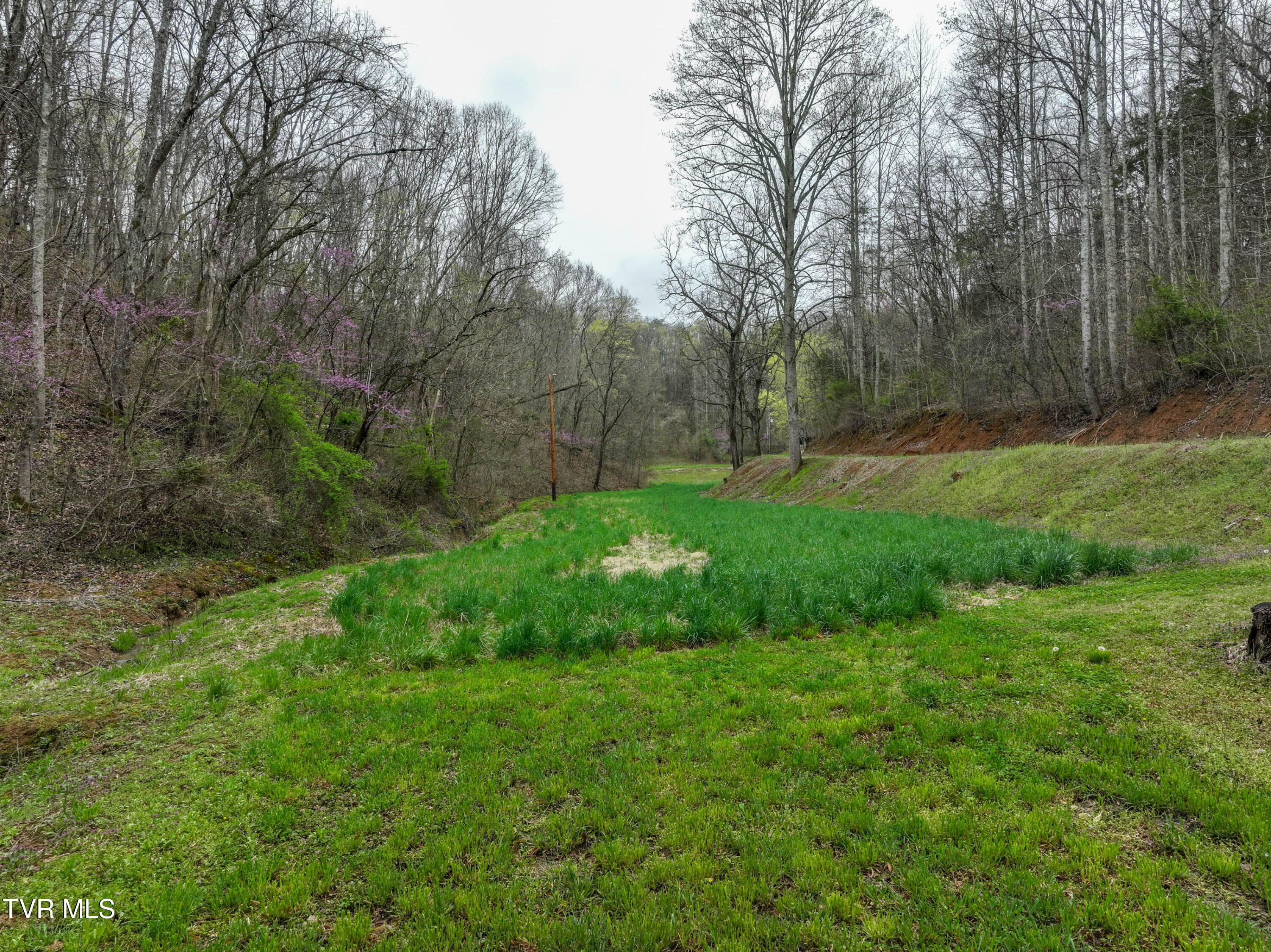 2461 Summer Way, Parrottsville, Tennessee image 50
