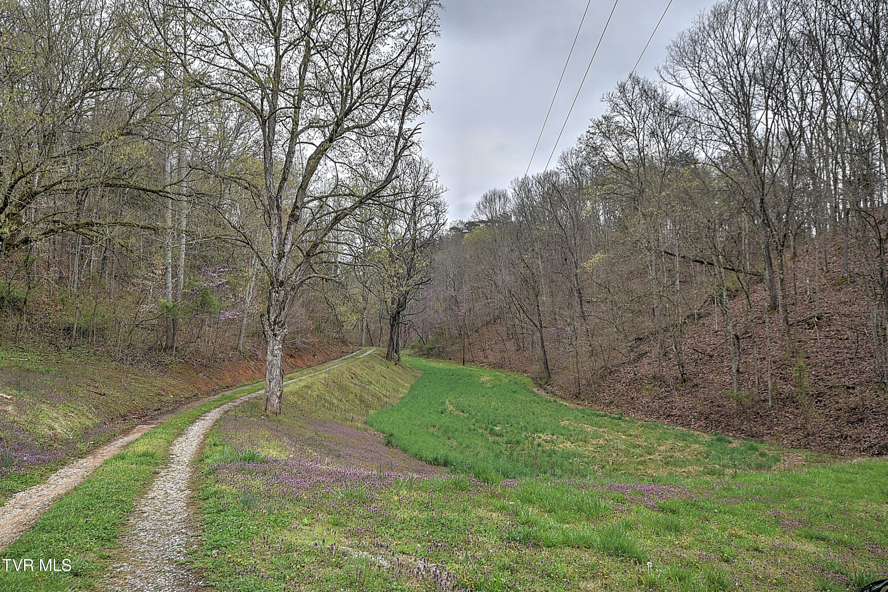 2461 Summer Way, Parrottsville, Tennessee image 40