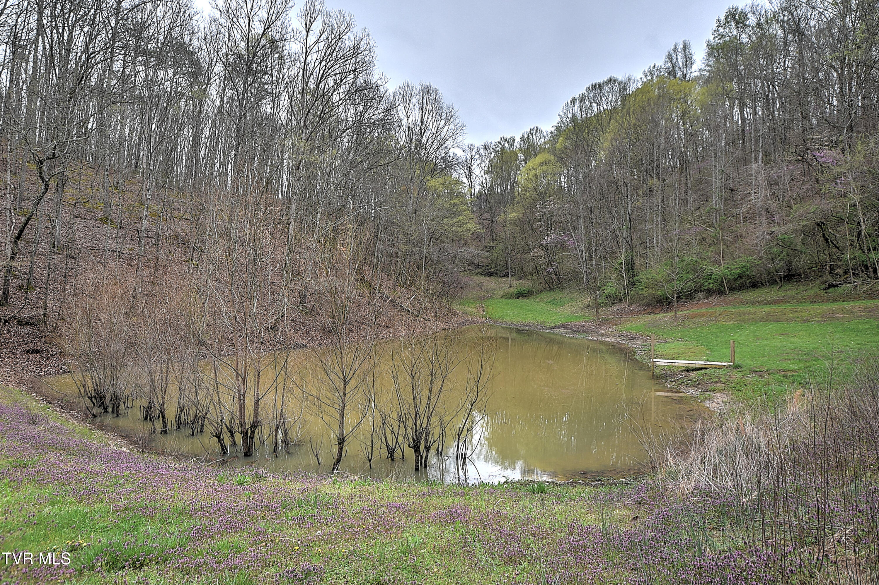 2461 Summer Way, Parrottsville, Tennessee image 30