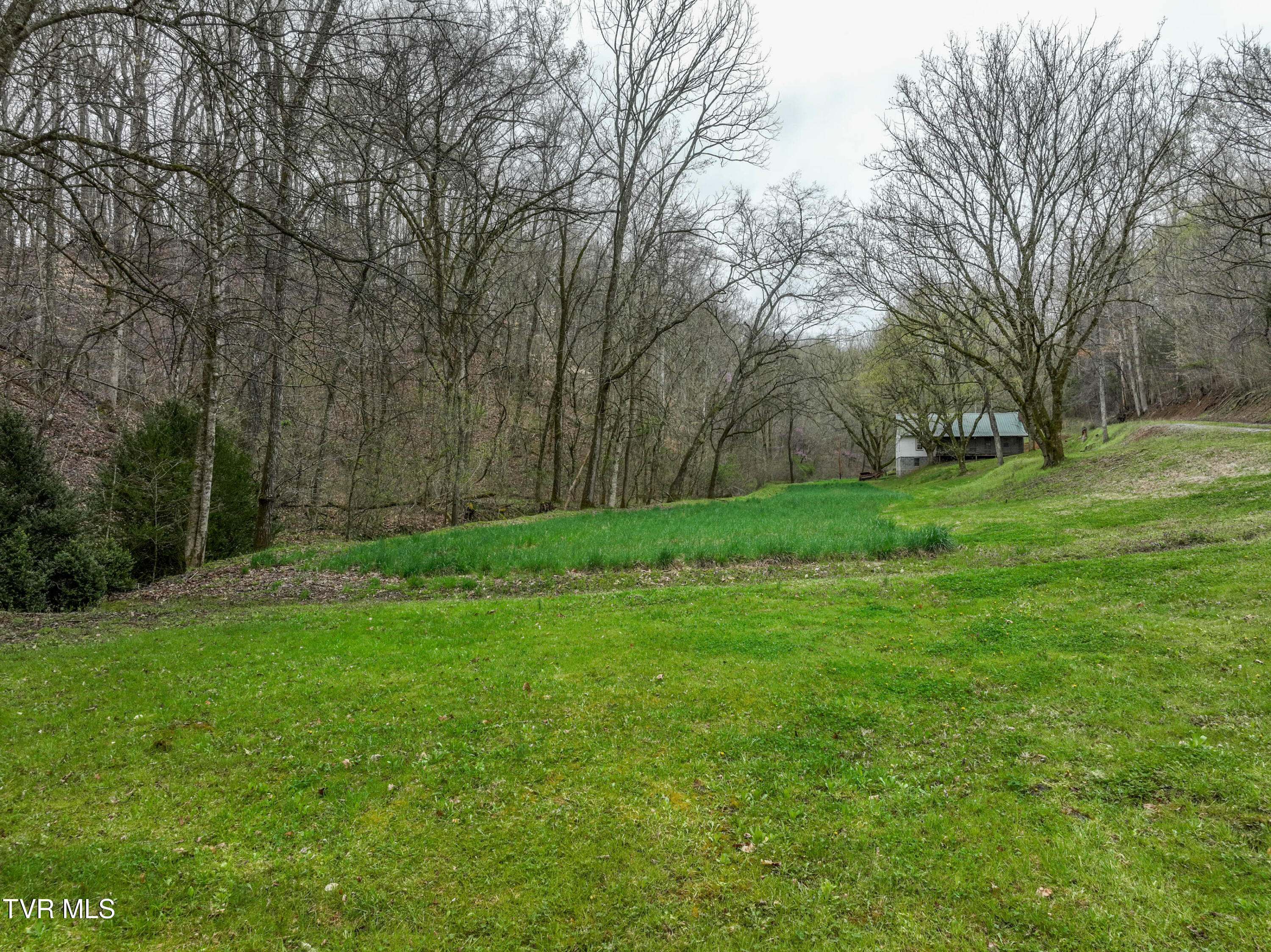 2461 Summer Way, Parrottsville, Tennessee image 47