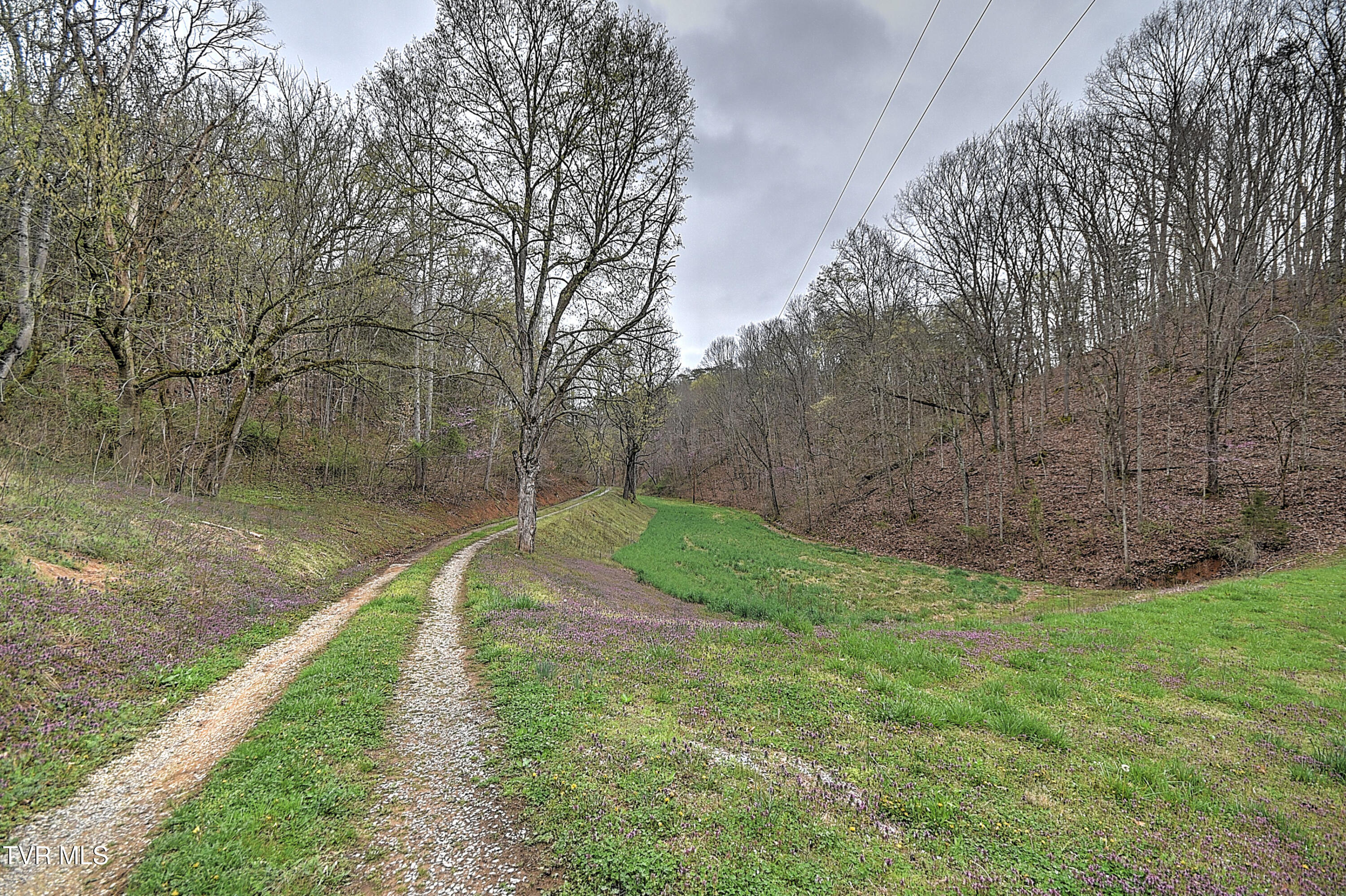 2461 Summer Way, Parrottsville, Tennessee image 41