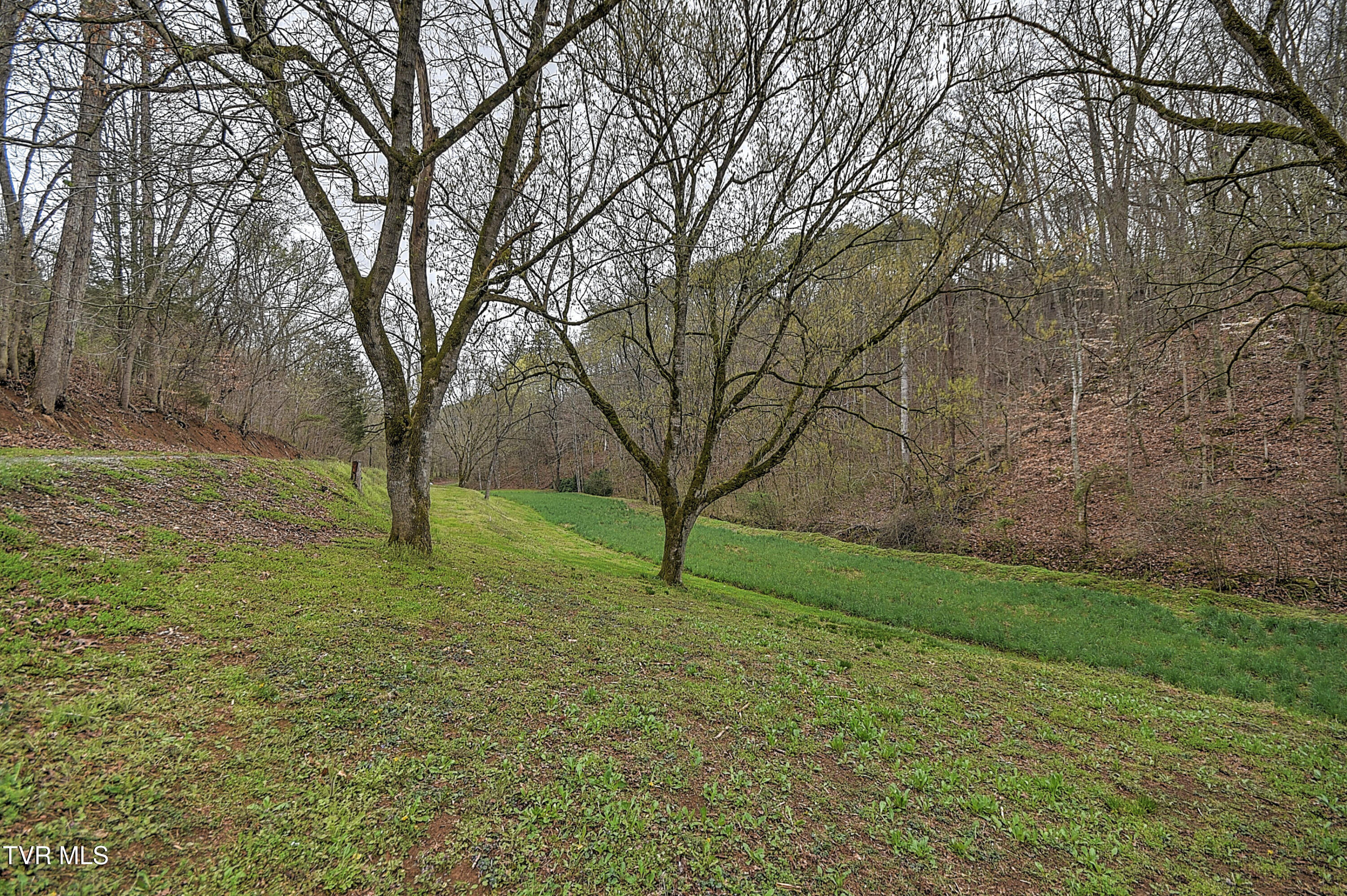 2461 Summer Way, Parrottsville, Tennessee image 43