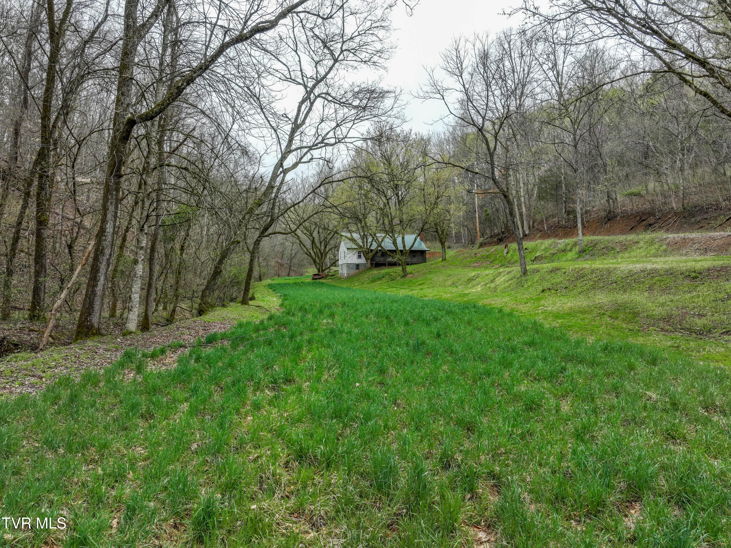 2461 Summer Way, Parrottsville, Tennessee image 48