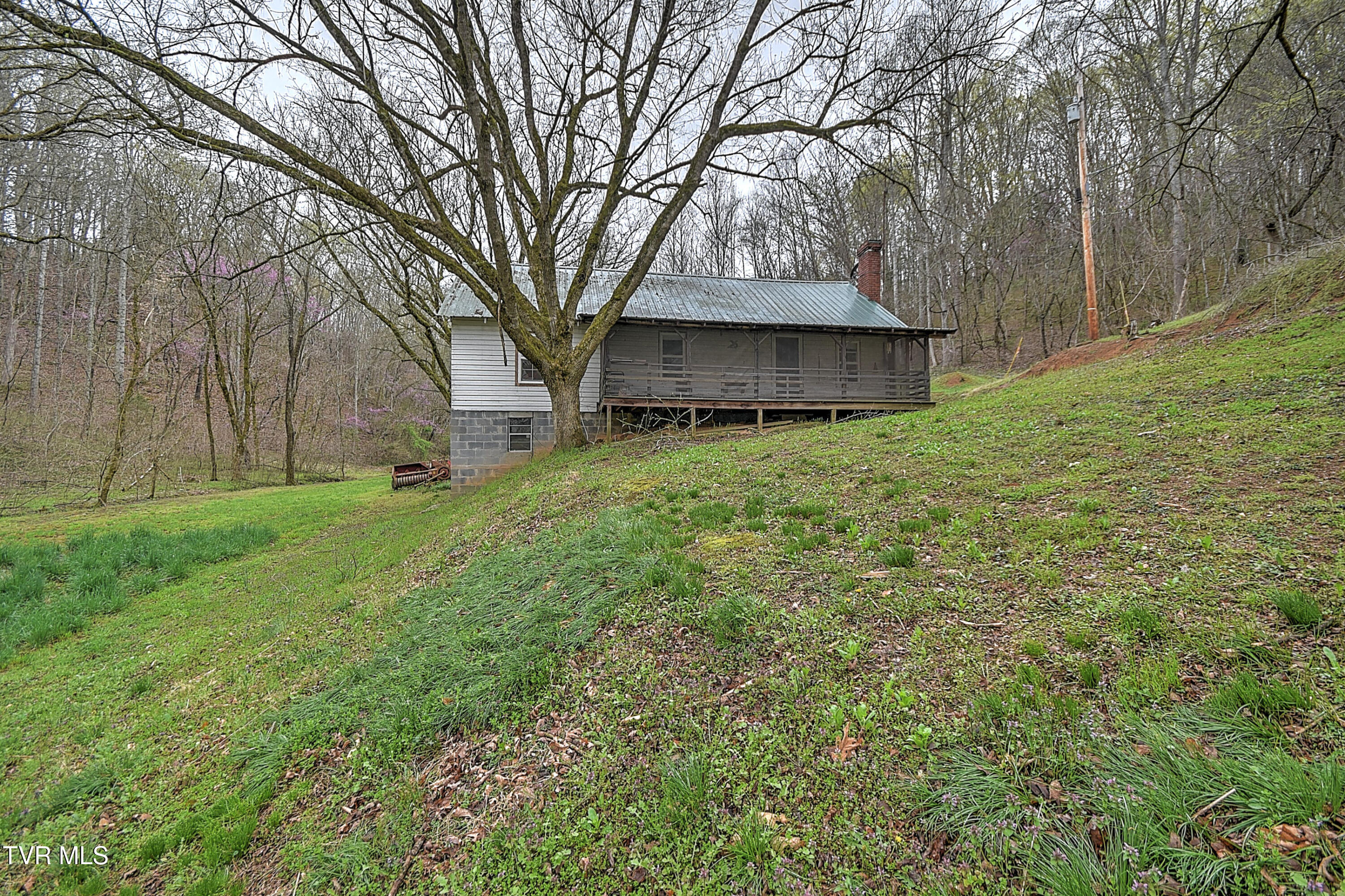 2461 Summer Way, Parrottsville, Tennessee image 3