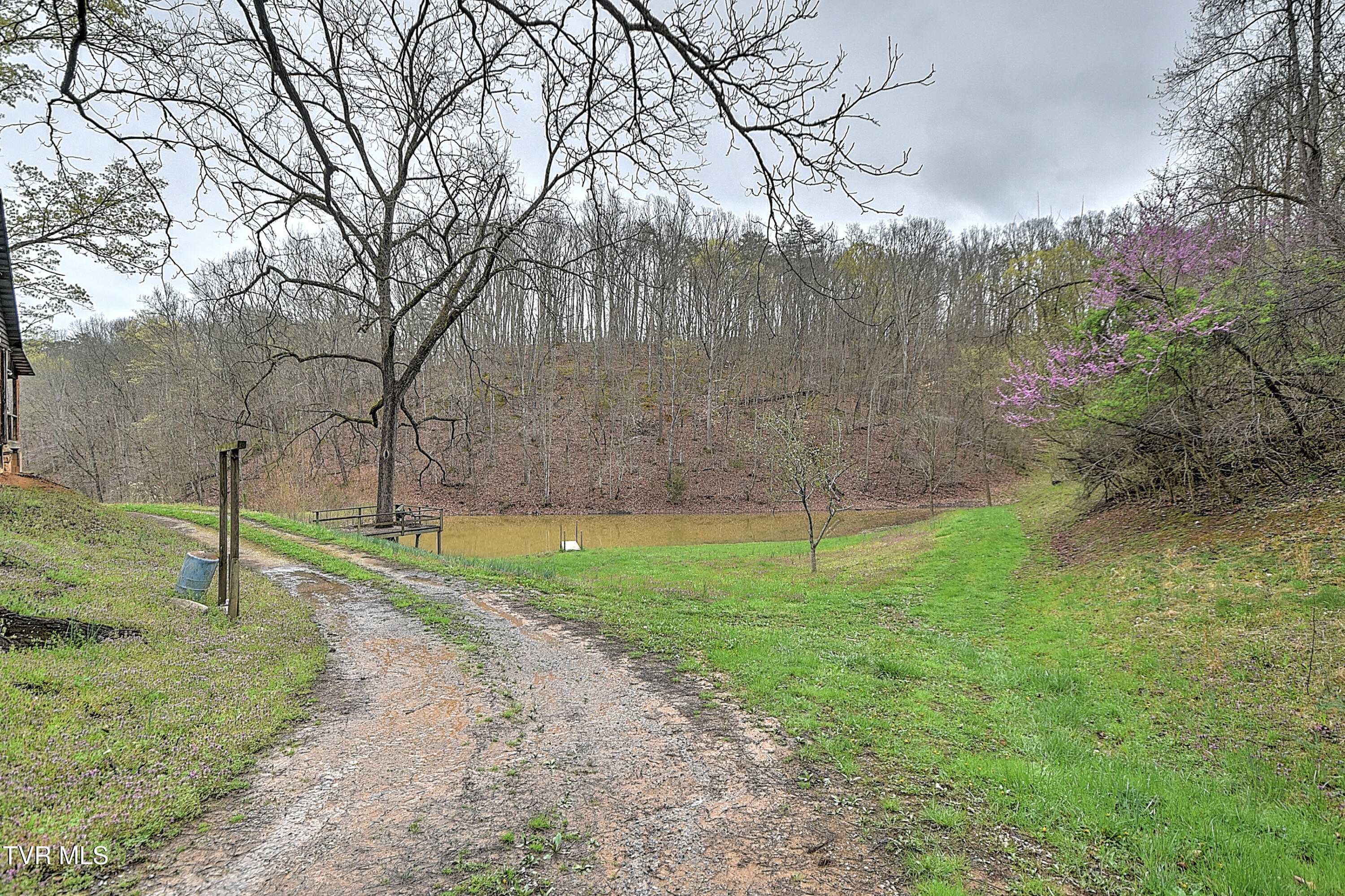 2461 Summer Way, Parrottsville, Tennessee image 39