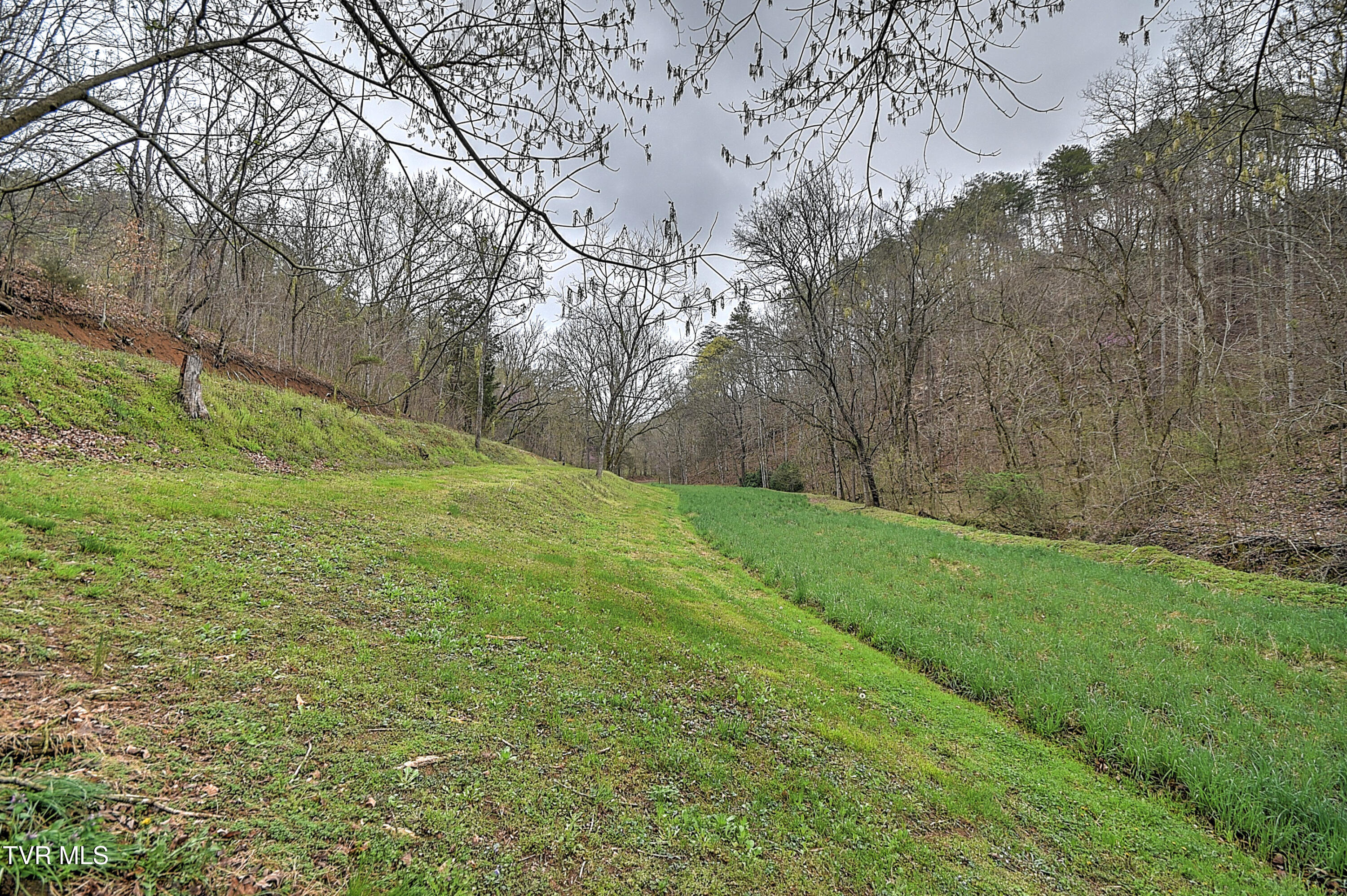 2461 Summer Way, Parrottsville, Tennessee image 44