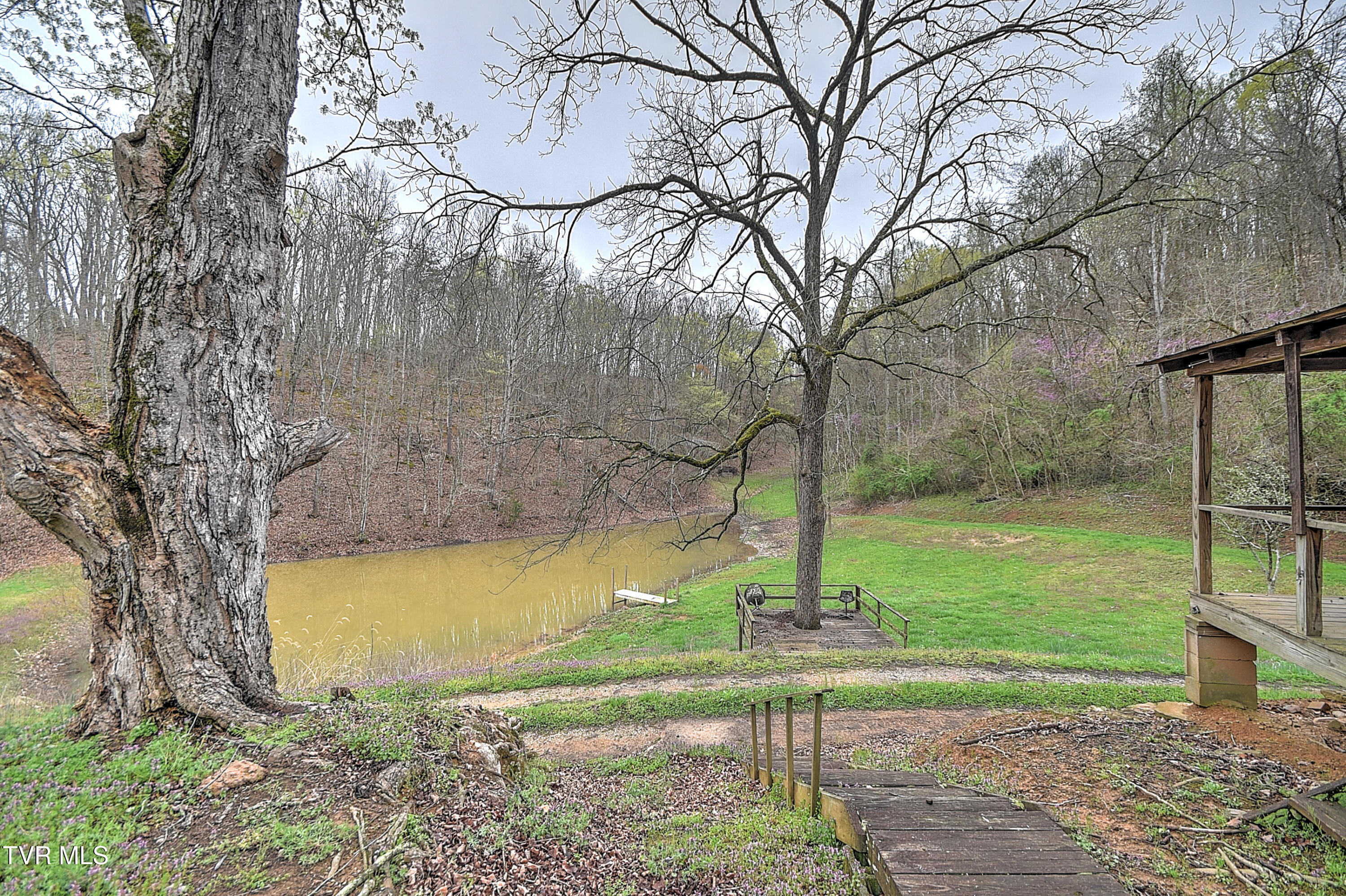 2461 Summer Way, Parrottsville, Tennessee image 38