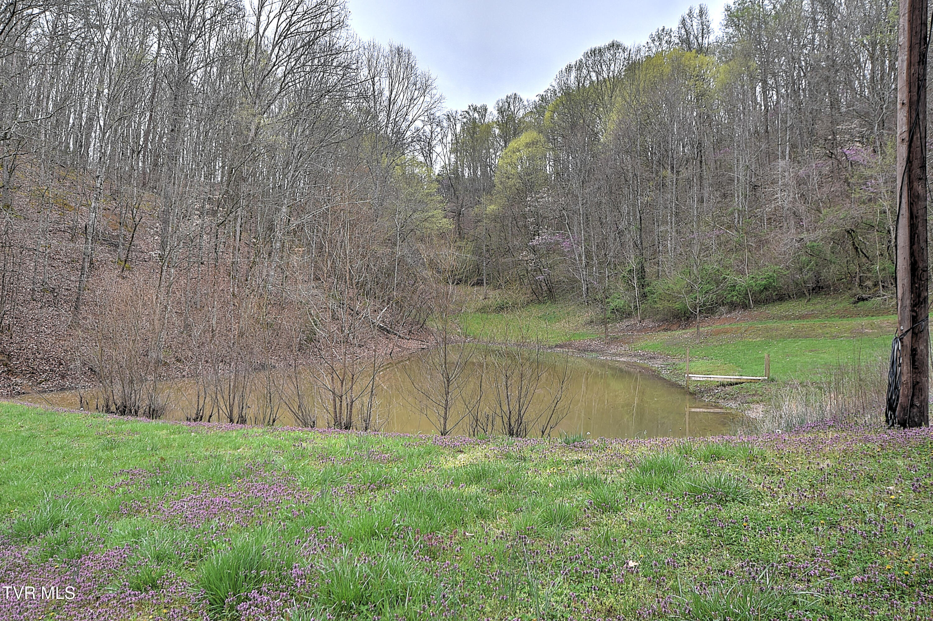 2461 Summer Way, Parrottsville, Tennessee image 29