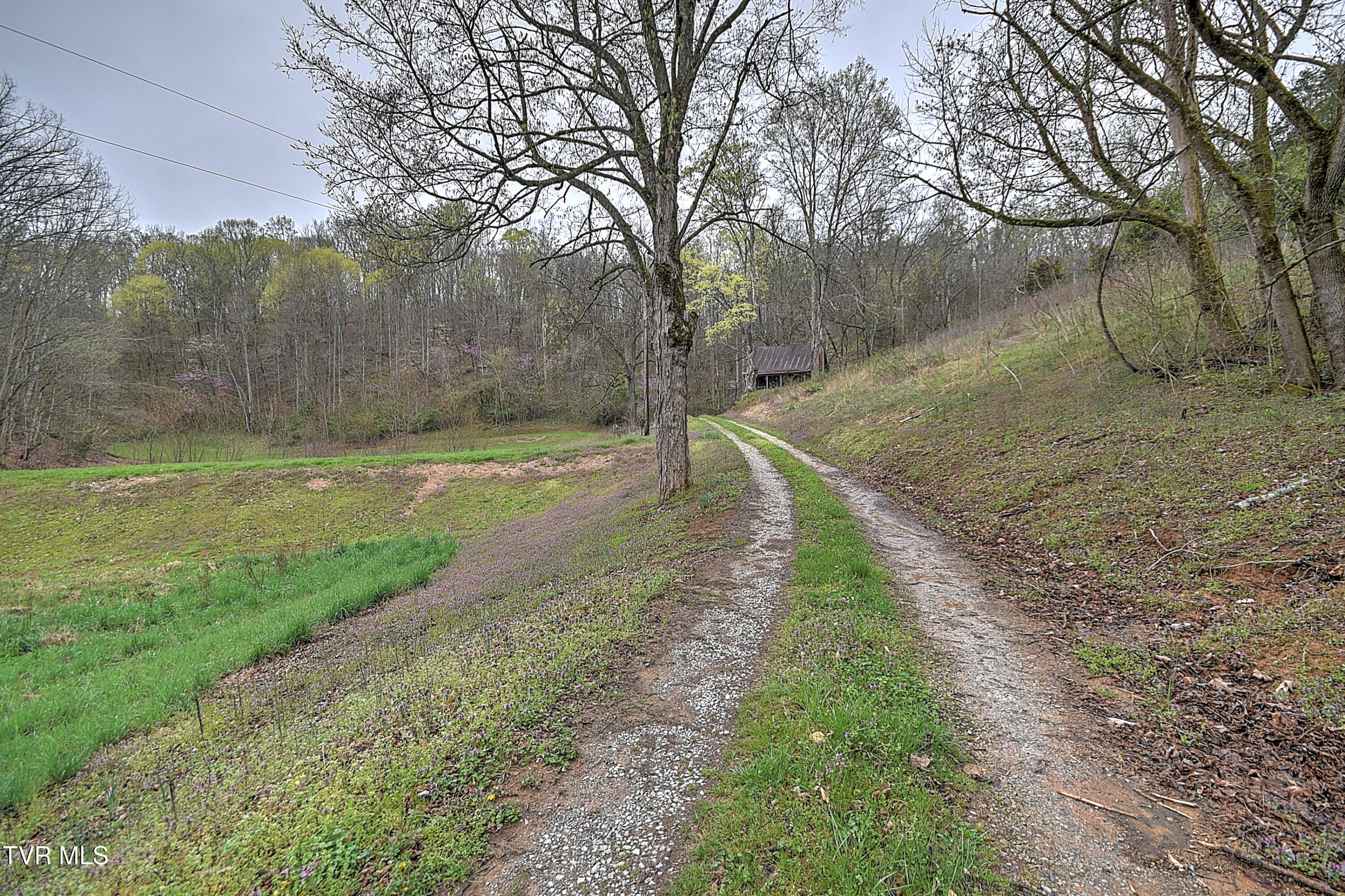2461 Summer Way, Parrottsville, Tennessee image 27