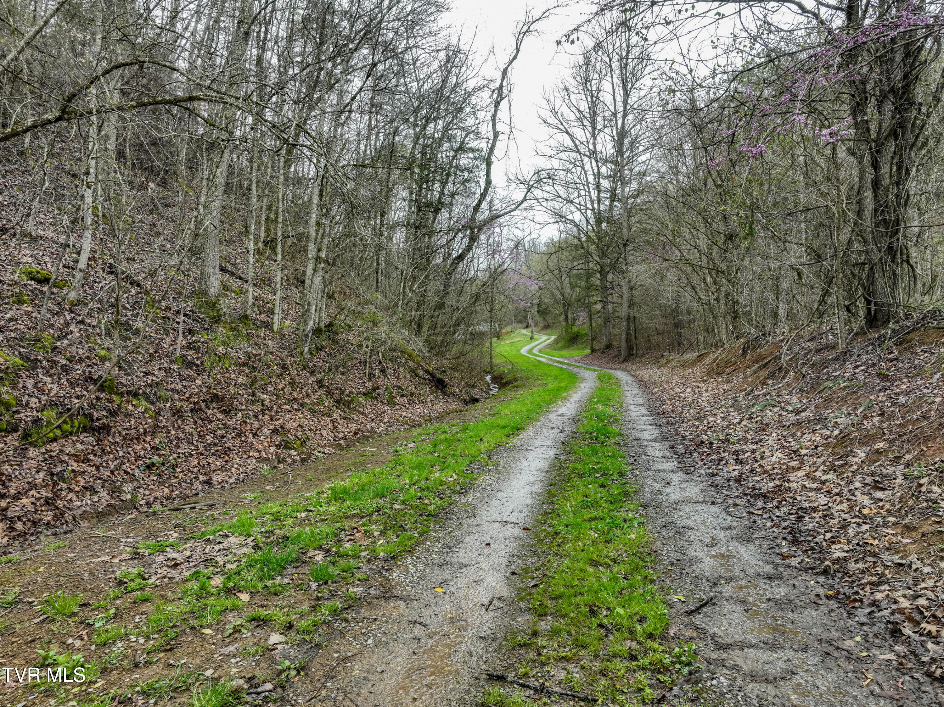 2461 Summer Way, Parrottsville, Tennessee image 45