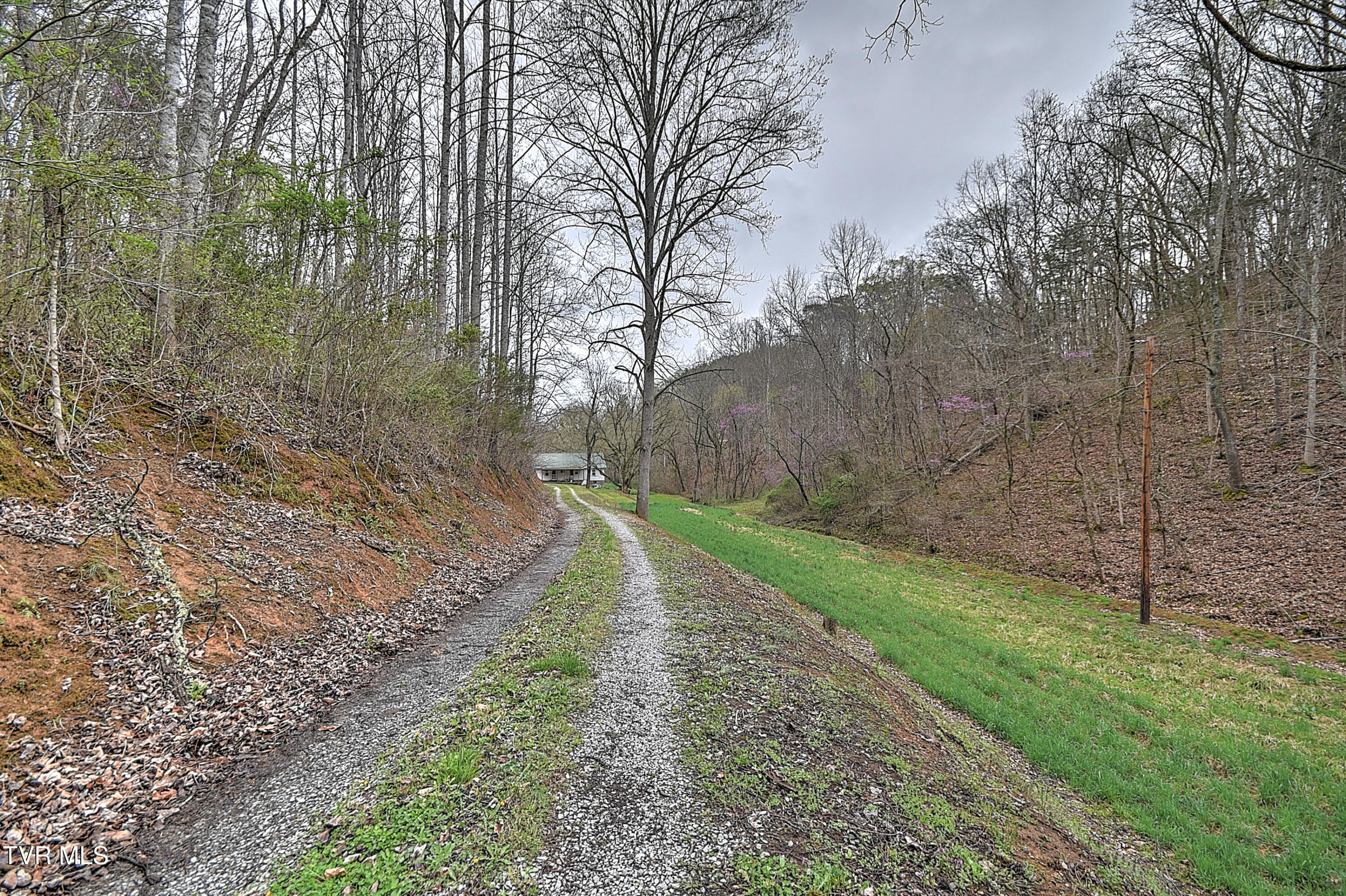 2461 Summer Way, Parrottsville, Tennessee image 42