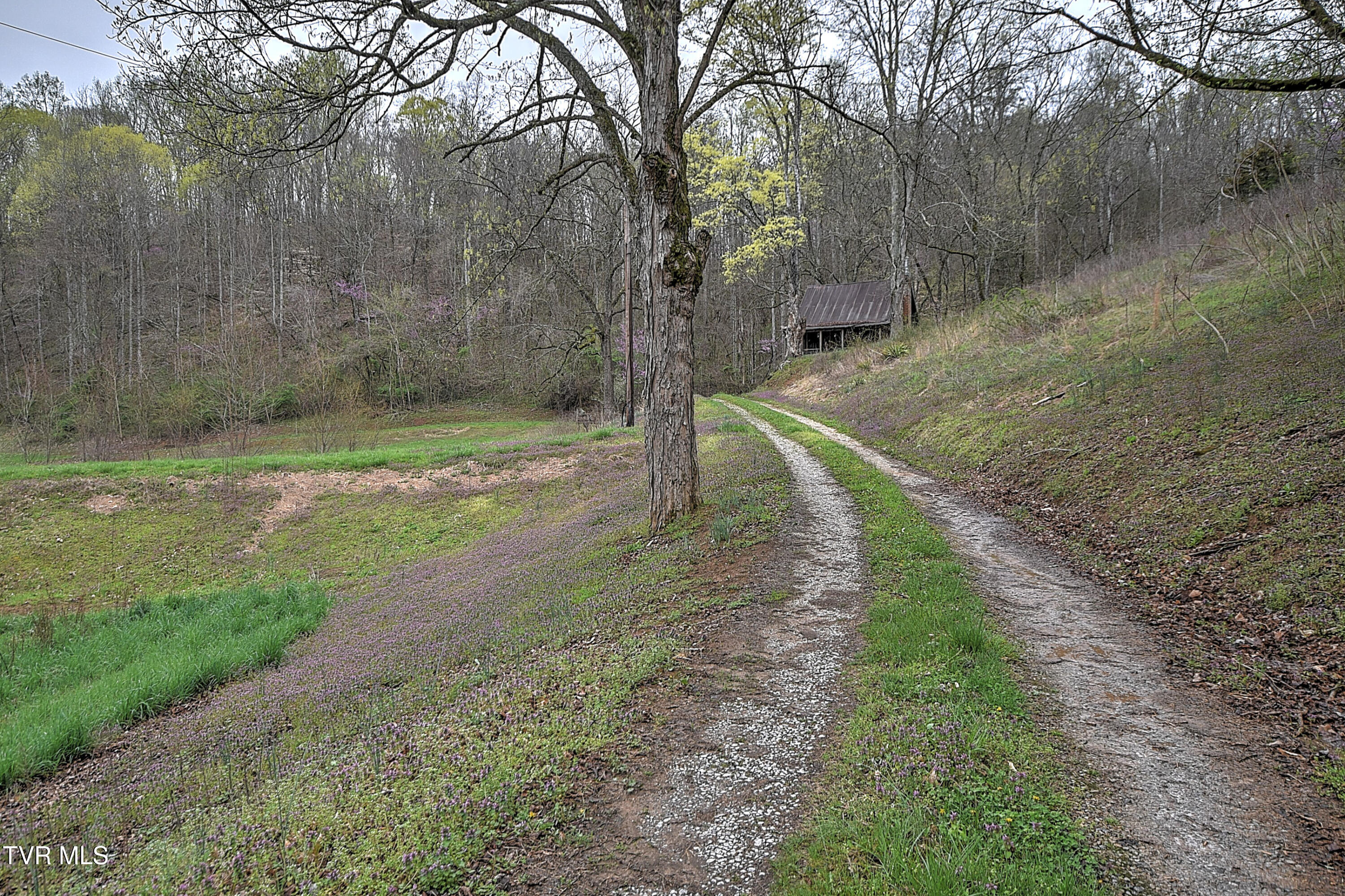 2461 Summer Way, Parrottsville, Tennessee image 28