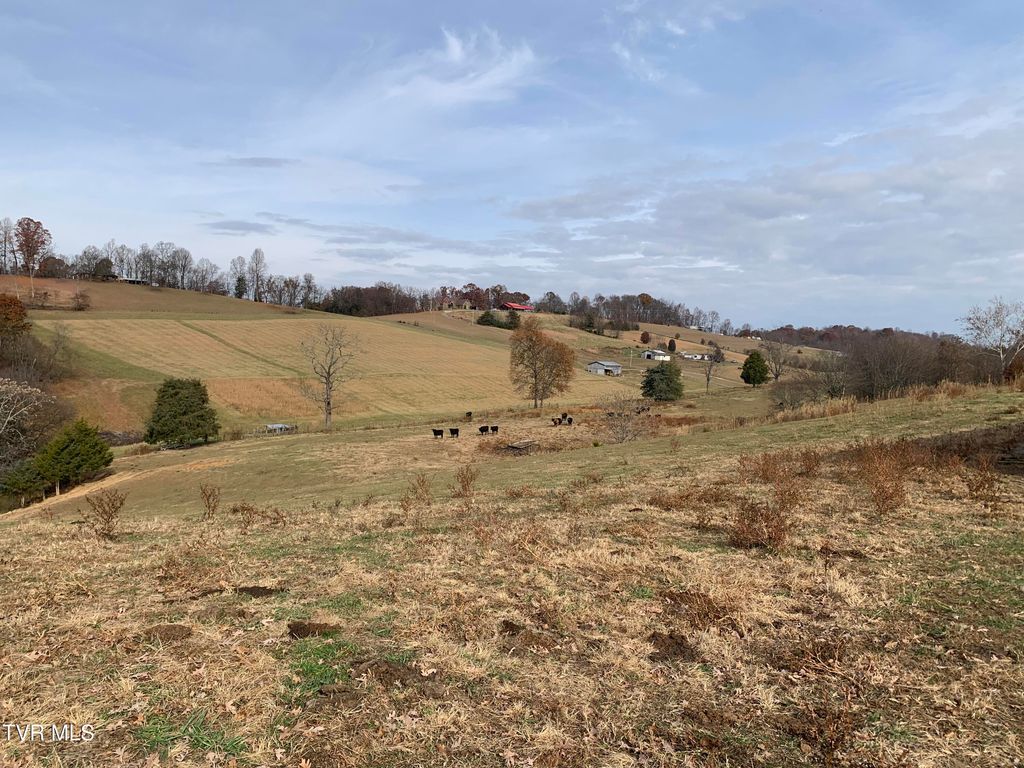 Photo of 188 Methodist Ridge Road Road, Telford, TN 37690 (MLS # 9988671)