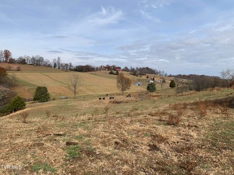 Photo of 188 Methodist Ridge Road Road, Telford, TN 37690 (MLS # 9988671)