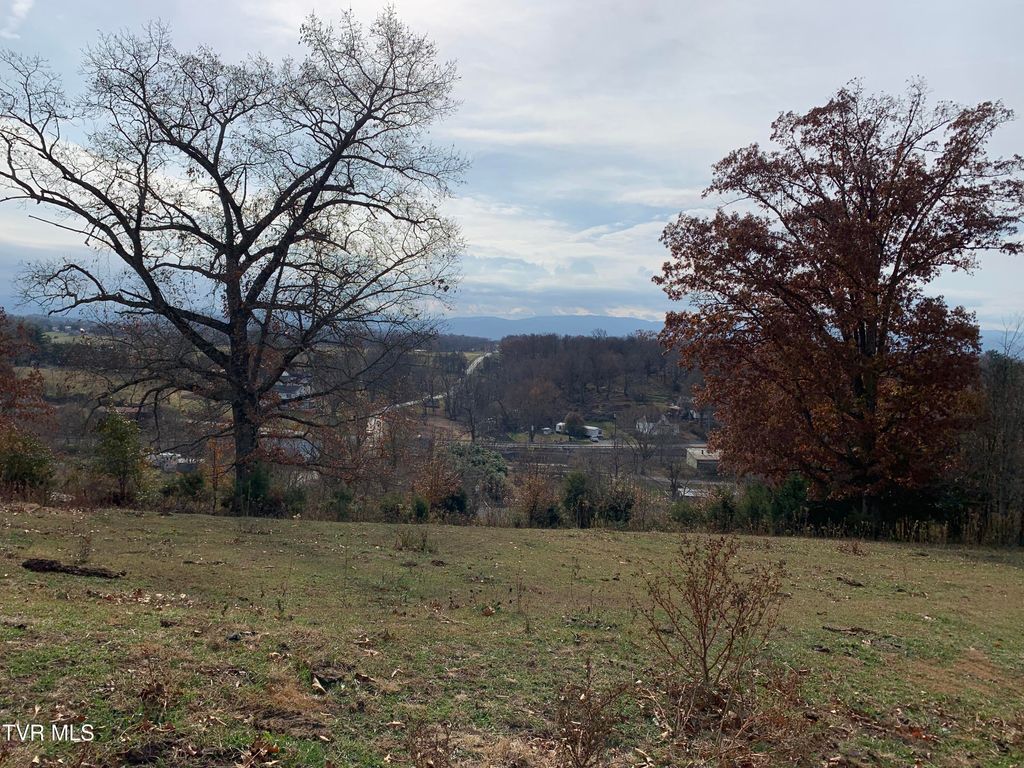 Photo of 188 Methodist Ridge Road Road, Telford, TN 37690 (MLS # 9988671)