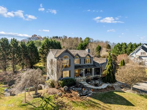 217 Lake Meadow Drive Gray TN 37615