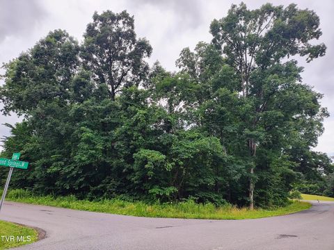 Vacant Land For Sale - LOT 16 Easley Drive<br/> Kingsport, TN 37664