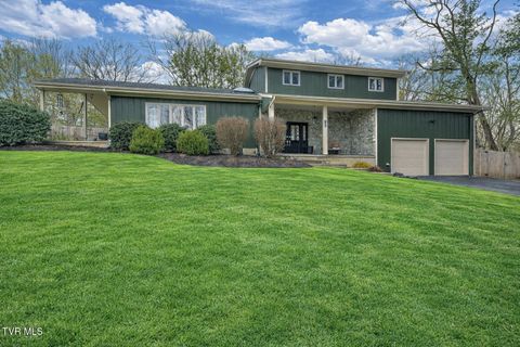 Photo of 149 Kingsbridge, Bristol, TN 37620 (MLS # 9991407)