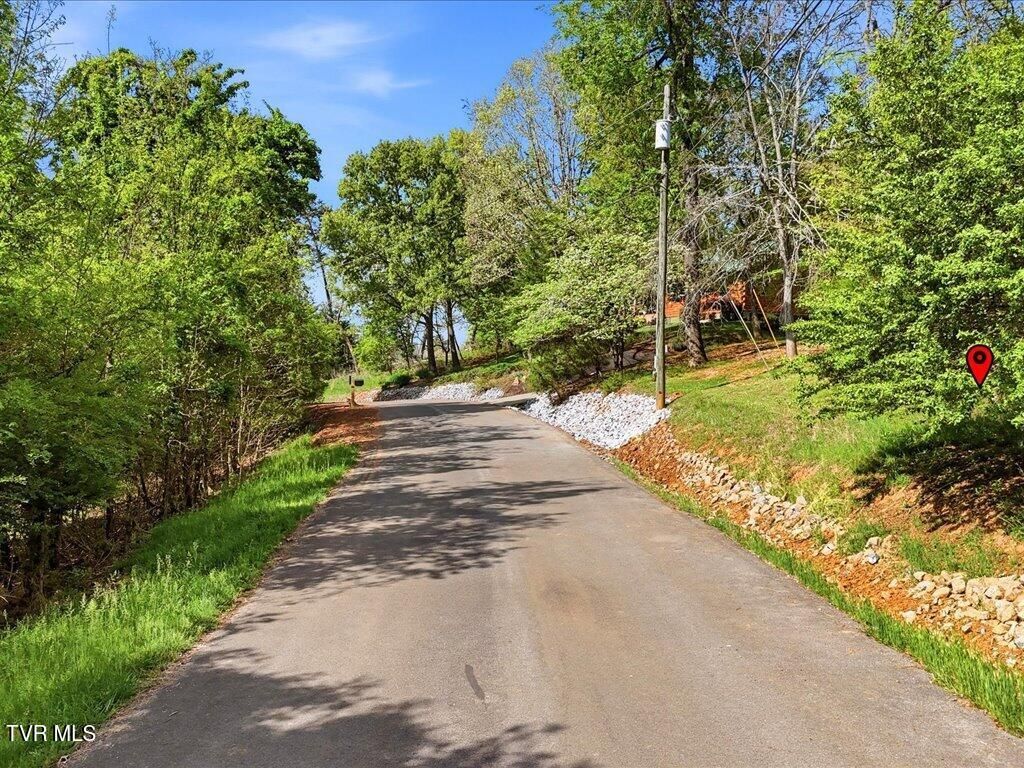 Photo of 60 Chelaque Way, Mooresburg, TN 37811 (MLS # 9994150)