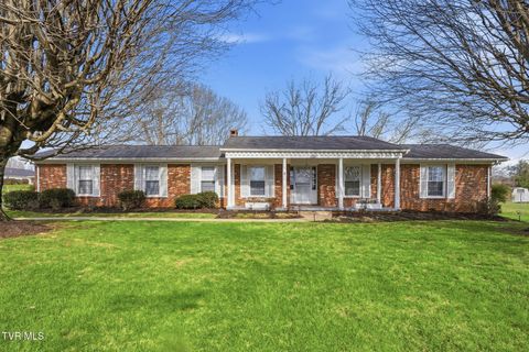 Photo of 806 Hiwassee Heights Drive, Johnson City, TN 37601 (MLS # 9992680)