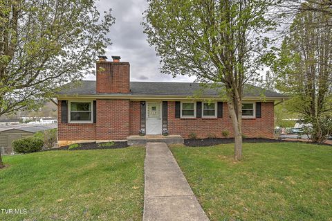 Photo of 428 Merriewood Drive, Bristol, TN 37620 (MLS # 9993220)
