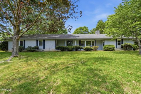Photo of 808 Chippendale Road, Kingsport, TN 37660 (MLS # 9994971)