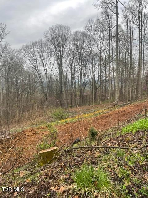 Bristol, Virginia 24201, United States, ,Land,Pending,60709