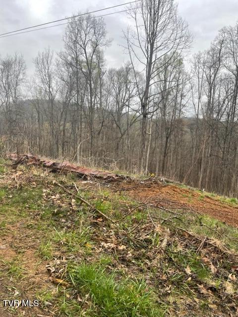 Bristol, Virginia 24201, United States, ,Land,Pending,60709