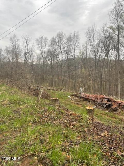 Bristol, Virginia 24201, United States, ,Land,Pending,60709