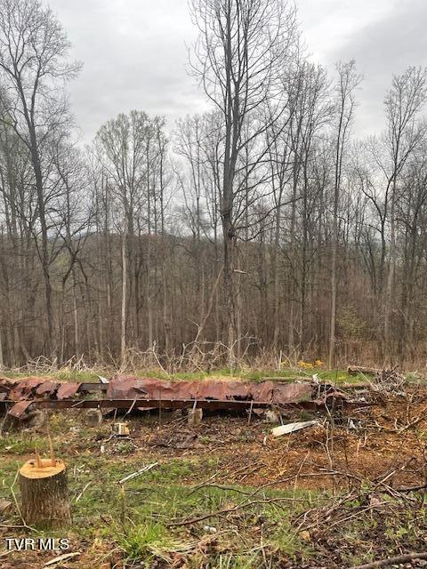 Bristol, Virginia 24201, United States, ,Land,Pending,60709