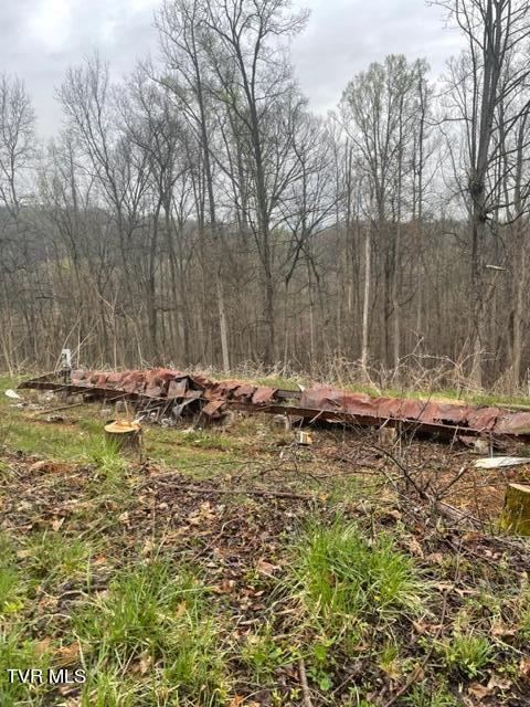 Bristol, Virginia 24201, United States, ,Land,Pending,60709